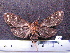  ( - MMZ0093)  @13 [ ] Copyright (2010) Unspecified Universidade Federal do Parana