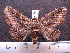  ( - MMZ0020)  @13 [ ] Copyright (2010) Unspecified Universidade Federal do Parana