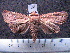  ( - MMZ0024)  @13 [ ] Copyright (2010) Unspecified Universidade Federal do Parana