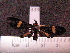  ( - MMZ0276)  @12 [ ] Copyright (2010) Mauricio M. Zenker Universidade Federal do Parana
