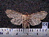  ( - MMZ0381)  @12 [ ] CreativeCommons - Attribution Non-Commercial (2011) Mauricio M. Zenker UFPR