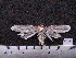 ( - MMZ0388)  @12 [ ] CreativeCommons - Attribution Non-Commercial (2011) Mauricio M. Zenker UFPR