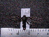  ( - MMZ0417)  @12 [ ] CreativeCommons - Attribution Non-Commercial (2011) Mauricio M. Zenker UFPR