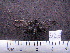  ( - MMZ0417)  @12 [ ] CreativeCommons - Attribution Non-Commercial (2011) Mauricio M. Zenker UFPR