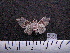  ( - MMZ0419)  @12 [ ] CreativeCommons - Attribution Non-Commercial (2011) Mauricio M. Zenker UFPR