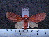  ( - MMZ0424)  @12 [ ] CreativeCommons - Attribution Non-Commercial (2011) Mauricio M. Zenker UFPR