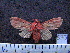  ( - MMZ0424)  @12 [ ] CreativeCommons - Attribution Non-Commercial (2011) Mauricio M. Zenker UFPR