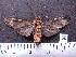  ( - MMZ0054)  @13 [ ] Copyright (2010) Unspecified Universidade Federal do Parana