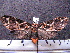  ( - MMZ0057)  @13 [ ] Copyright (2010) Unspecified Universidade Federal do Parana