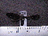  ( - MMZ0483)  @12 [ ] Copyright (2010) Mauricio M. Zenker Universidade Federal do Parana