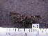  ( - MMZ0484)  @12 [ ] Copyright (2010) Mauricio M. Zenker Universidade Federal do Parana