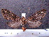  ( - MMZ0058)  @13 [ ] Copyright (2010) Unspecified Universidade Federal do Parana