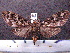  ( - MMZ0059)  @13 [ ] Copyright (2010) Unspecified Universidade Federal do Parana