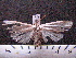  ( - MMZ0070)  @12 [ ] Copyright (2010) Unspecified Universidade Federal do Parana