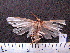  ( - MMZ0070)  @12 [ ] Copyright (2010) Unspecified Universidade Federal do Parana