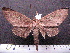  ( - MMZ0077)  @14 [ ] Copyright (2010) Unspecified Universidade Federal do Parana