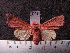  ( - MMZ0694)  @12 [ ] CreativeCommons - Attribution Non-Commercial (2011) Mauricio M. Zenker Universidade Federal do Parana