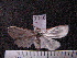  ( - MMZ0863)  @13 [ ] CreativeCommons - Attribution Non-Commercial (2011) Mauricio M. Zenker UFPR