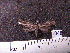  ( - MMZ0910)  @12 [ ] CreativeCommons - Attribution Non-Commercial (2011) Mauricio M. Zenker UFPR