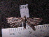  ( - MMZ0917)  @12 [ ] CreativeCommons - Attribution Non-Commercial (2011) Mauricio M. Zenker UFPR