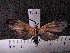  ( - MMZ0700)  @13 [ ] CreativeCommons - Attribution Non-Commercial (2011) Mauricio M. Zenker Universidade Federal do Parana