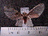  ( - MMZ0705)  @12 [ ] CreativeCommons - Attribution Non-Commercial (2011) Mauricio M. Zenker Universidade Federal do Parana