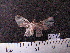  ( - MMZ0705)  @12 [ ] CreativeCommons - Attribution Non-Commercial (2011) Mauricio M. Zenker Universidade Federal do Parana