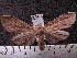  ( - MMZ0879)  @12 [ ] CreativeCommons - Attribution Non-Commercial (2011) Mauricio M. Zenker UFPR