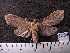  ( - MMZ0879)  @12 [ ] CreativeCommons - Attribution Non-Commercial (2011) Mauricio M. Zenker UFPR