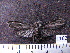  ( - MMZ1022)  @12 [ ] CreativeCommons - Attribution Non-Commercial (2011) Mauricio M. Zenker UFPR