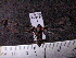  ( - MMZ0757)  @12 [ ] CreativeCommons - Attribution Non-Commercial (2011) Mauricio M. Zenker Universidade Federal do Parana