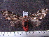  ( - MMZ0773)  @13 [ ] CreativeCommons - Attribution Non-Commercial (2011) Mauricio M. Zenker Universidade Federal do Parana