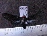  ( - MMZ0786)  @12 [ ] CreativeCommons - Attribution Non-Commercial (2011) Mauricio M. Zenker Universidade Federal do Parana