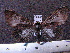  ( - MMZ0798)  @13 [ ] CreativeCommons - Attribution Non-Commercial (2011) Mauricio M. Zenker Universidade Federal do Parana