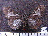  ( - MMZ0804)  @13 [ ] CreativeCommons - Attribution Non-Commercial (2011) Mauricio M. Zenker Universidade Federal do Parana