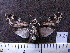  ( - MMZ0806)  @12 [ ] CreativeCommons - Attribution Non-Commercial (2011) Mauricio M. Zenker Universidade Federal do Parana