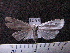 ( - MMZ0819)  @13 [ ] CreativeCommons - Attribution Non-Commercial (2011) Mauricio M. Zenker Universidade Federal do Parana