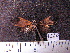  ( - MMZ0828)  @12 [ ] CreativeCommons - Attribution Non-Commercial (2011) Mauricio M. Zenker Universidade Federal do Parana