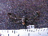  ( - MMZ0843)  @12 [ ] CreativeCommons - Attribution Non-Commercial (2011) Mauricio M. Zenker Universidade Federal do Parana