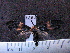  ( - MMZ0844)  @12 [ ] CreativeCommons - Attribution Non-Commercial (2011) Mauricio M. Zenker Universidade Federal do Parana