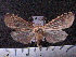  ( - MMZ1177)  @13 [ ] CreativeCommons - Attribution Non-Commercial (2012) Mauricio M. Zenker UFPR