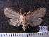  ( - MMZ1177)  @12 [ ] CreativeCommons - Attribution Non-Commercial (2012) Mauricio M. Zenker UFPR