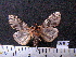  ( - MMZ1072)  @13 [ ] CreativeCommons - Attribution Non-Commercial (2012) Mauricio M. Zenker UFPR