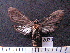  ( - MMZ1188)  @12 [ ] CreativeCommons - Attribution Non-Commercial (2012) Mauricio M. Zenker UFPR