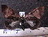  ( - MMZ1189)  @13 [ ] CreativeCommons - Attribution Non-Commercial (2012) Mauricio M. Zenker UFPR
