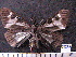  ( - MMZ1189)  @13 [ ] CreativeCommons - Attribution Non-Commercial (2012) Mauricio M. Zenker UFPR