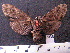  ( - MMZ1192)  @12 [ ] CreativeCommons - Attribution Non-Commercial (2012) Mauricio M. Zenker UFPR