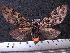  ( - MMZ1193)  @12 [ ] CreativeCommons - Attribution Non-Commercial (2012) Mauricio M. Zenker UFPR