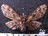  ( - MMZ1193)  @12 [ ] CreativeCommons - Attribution Non-Commercial (2012) Mauricio M. Zenker UFPR