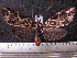  ( - MMZ1194)  @13 [ ] CreativeCommons - Attribution Non-Commercial (2012) Mauricio M. Zenker UFPR